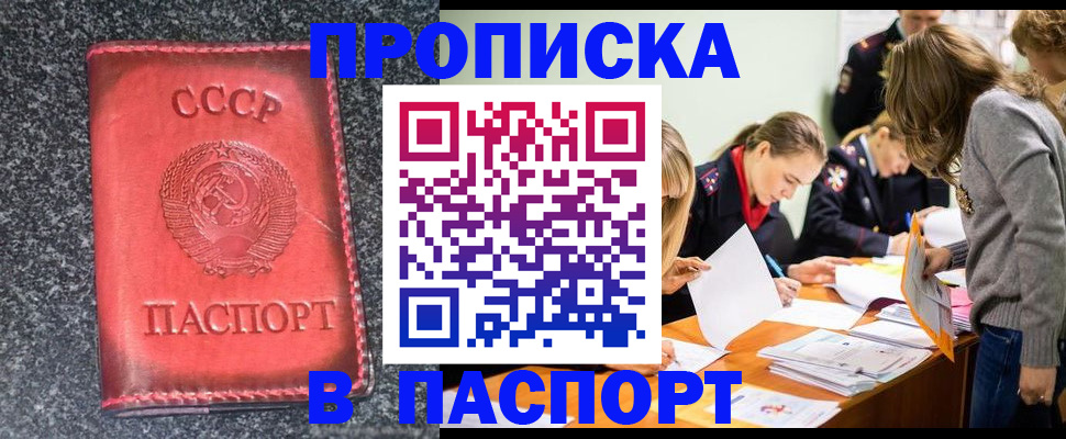 прописка для школы в Дорогобуже